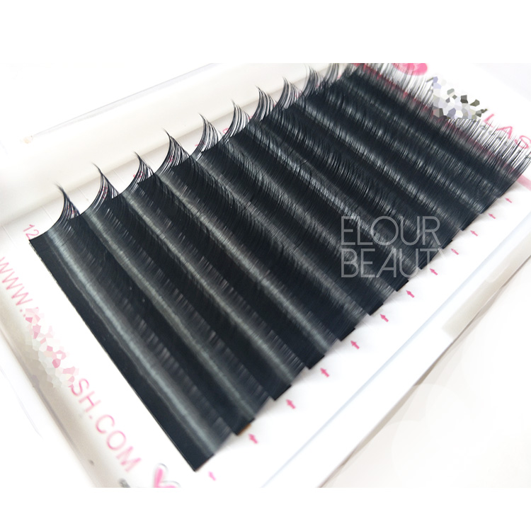 New design OEM brand camellia eyelash exensions beauty supplies EL32